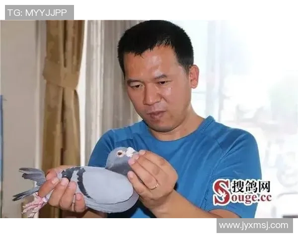 刘丽独家分享排球技巧与心得助你提升竞技水平与团队配合能力 刘丽独家分享排球技巧与心得助你提升竞技水平与团队配合能力