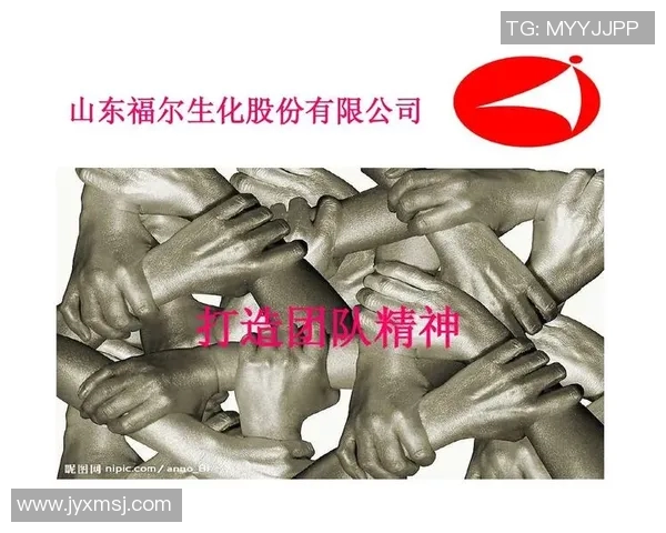 聚焦成都乒乓球队意识提升与团队精神培养的探讨与思考